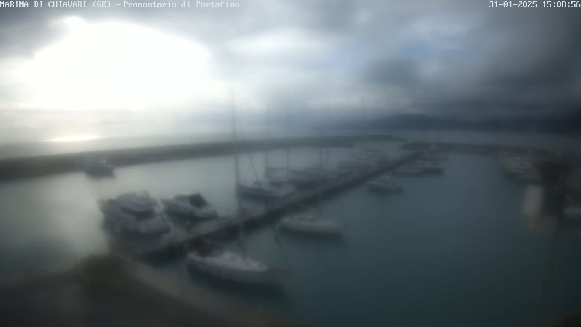 A hazy, overcast day reveals a marina filled with numerous sailboats moored along a pier, extending into calm, teal-colored water.