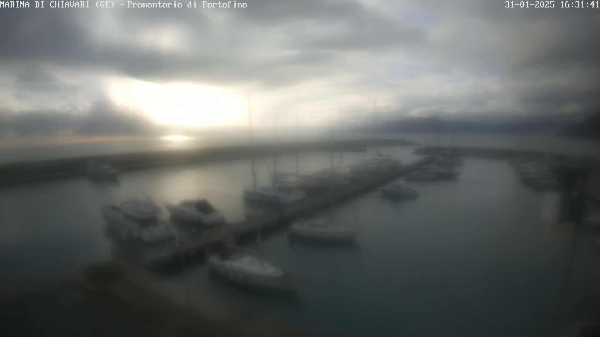 A hazy, overcast sky illuminates a marina filled with numerous boats docked along a pier.