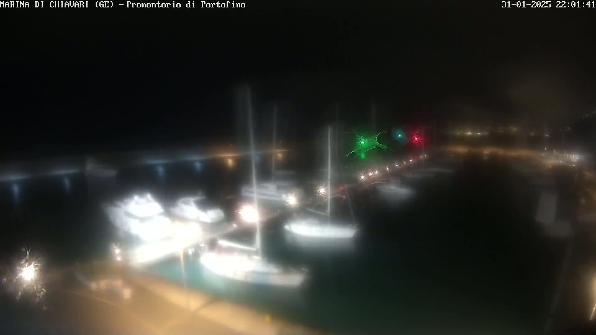At night, numerous boats are moored in a marina under hazy conditions.