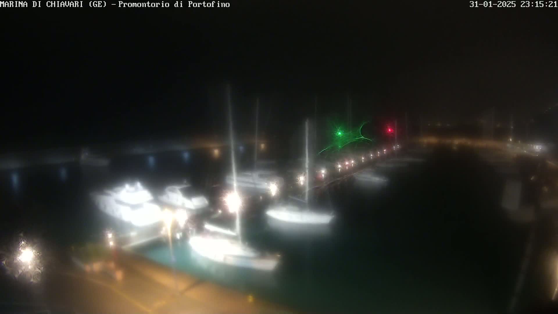 Several sailboats are moored in a marina at night in foggy conditions.