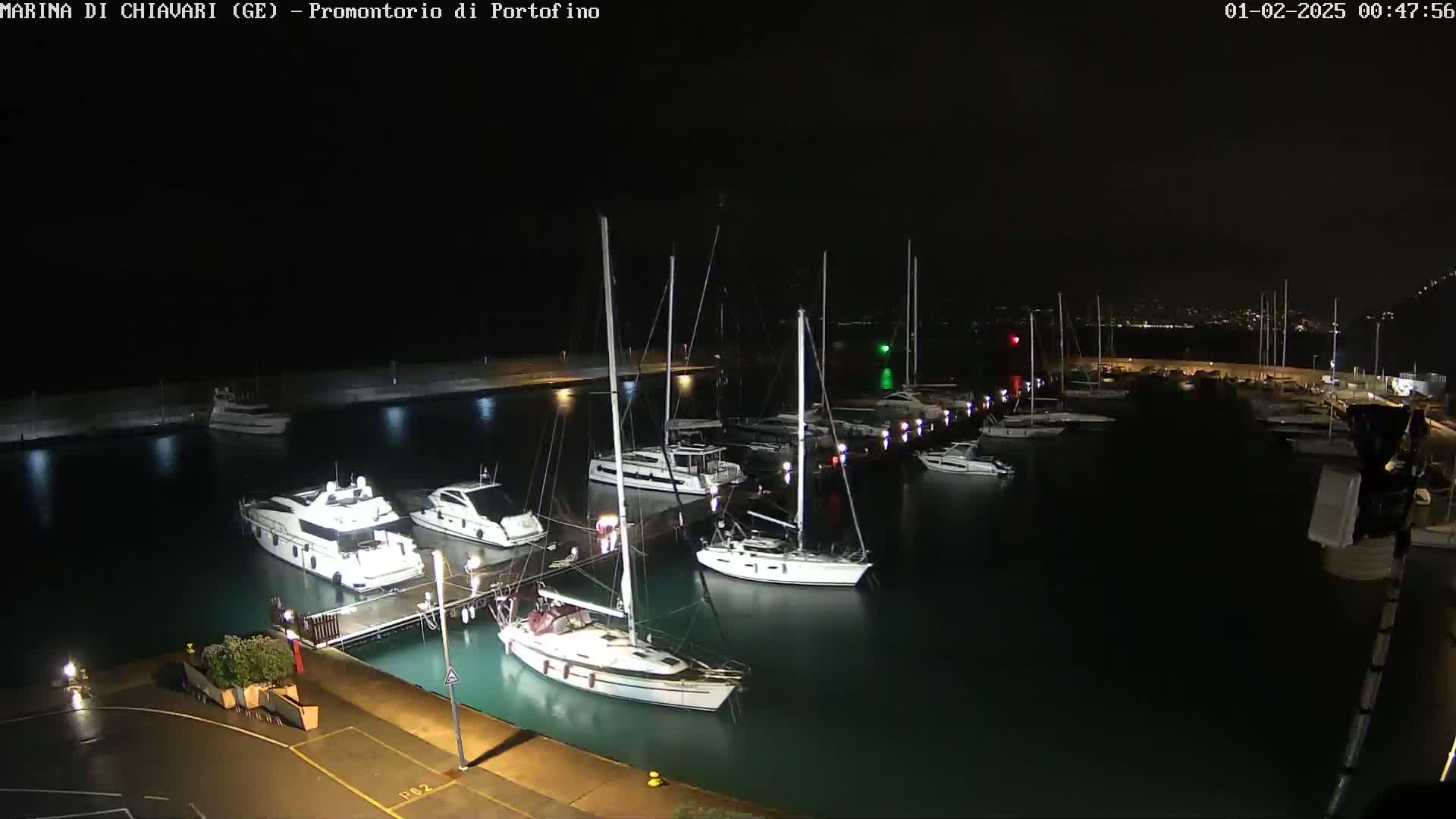 A marina at night, filled with sailboats and motorboats docked along a pier under a dark sky.