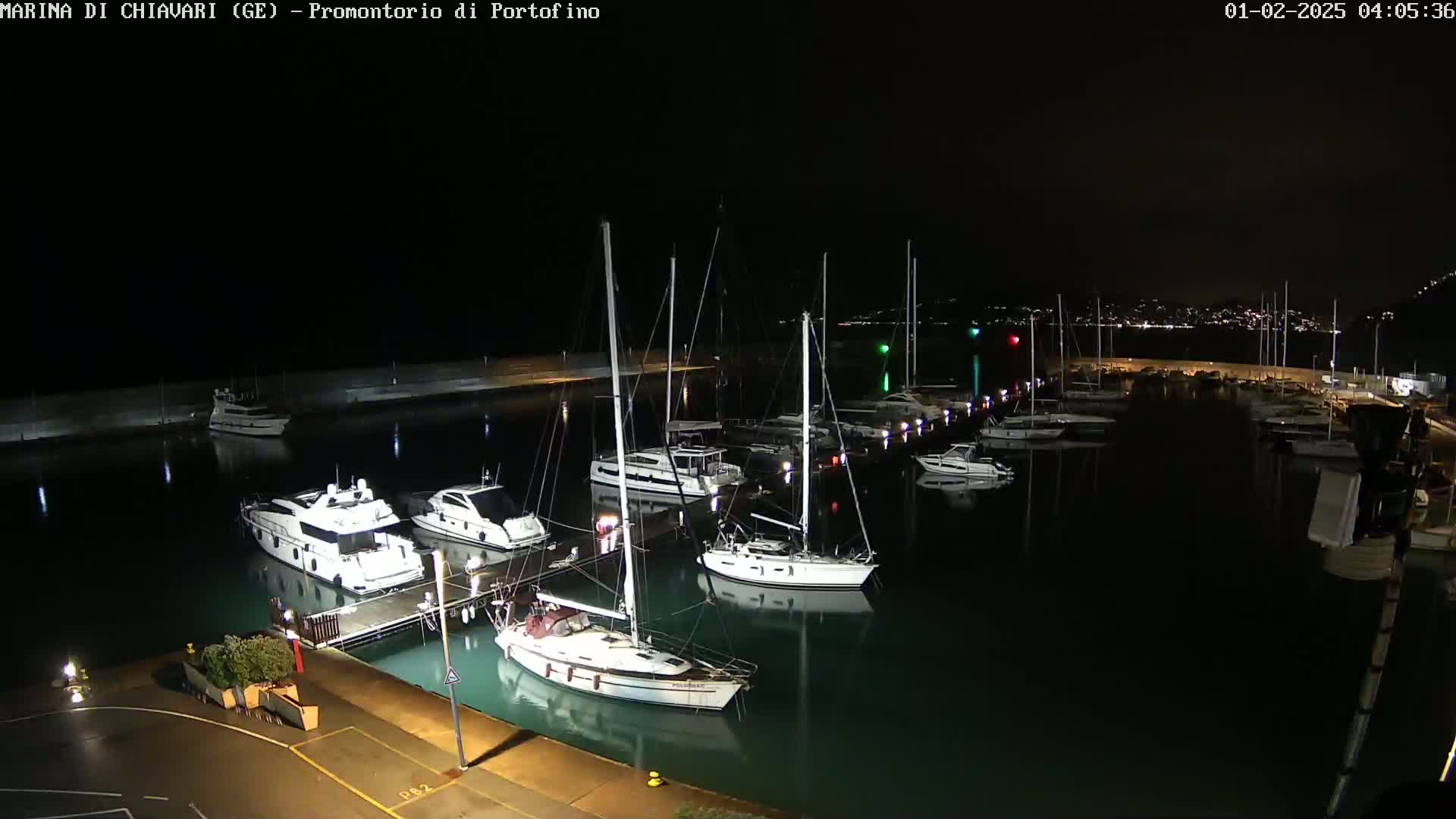 A nighttime view of a marina filled with sailboats and motorboats, illuminated by lights, under a clear, dark sky.