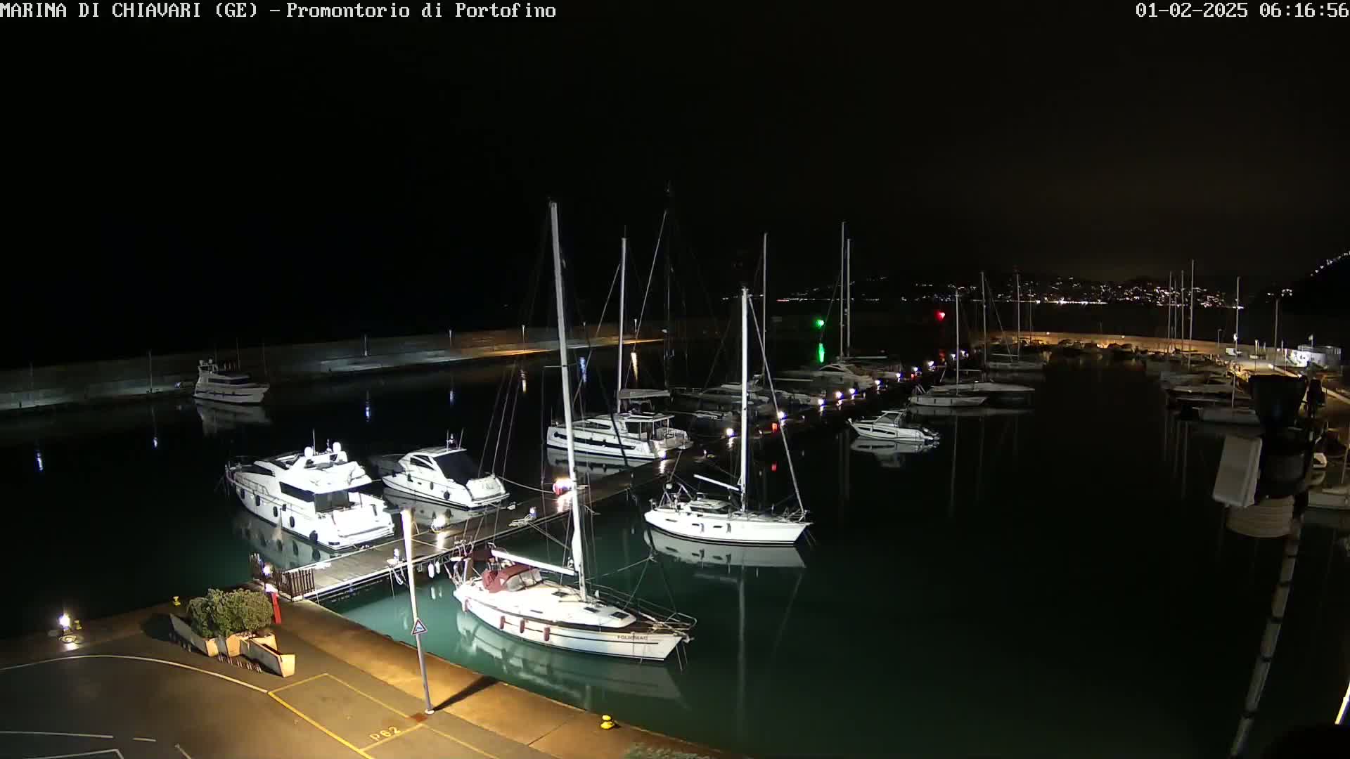 A nighttime view of a marina filled with sailboats and motorboats, illuminated under a dark sky.
