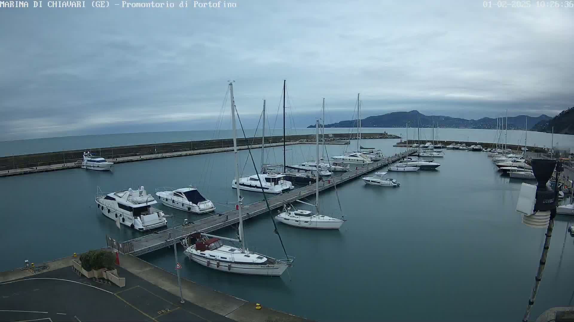 A marina filled with sailboats and motor yachts on a cloudy day, with calm water and mountains visible in the distance.