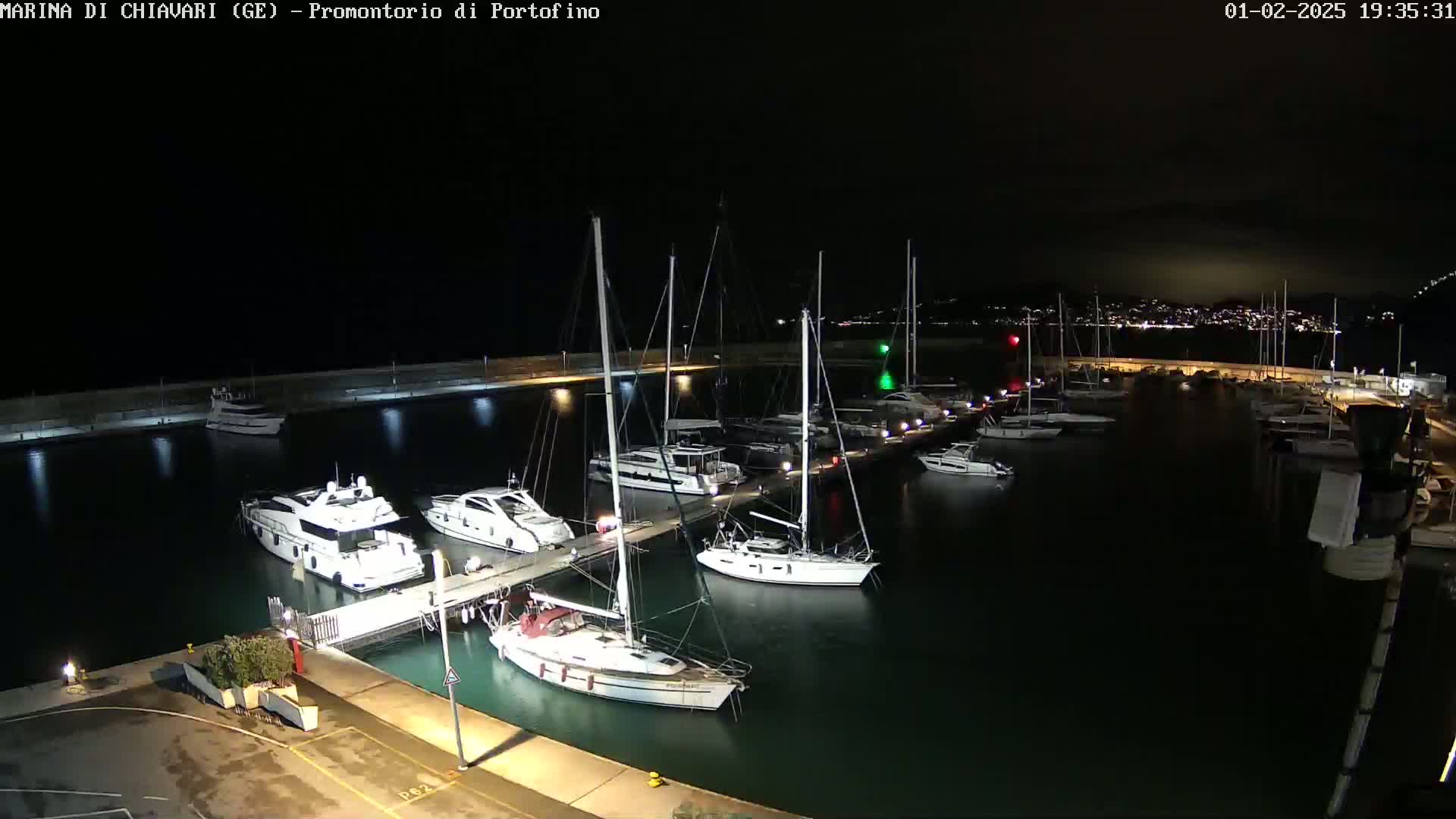 A nighttime view of a marina filled with sailboats and motorboats docked along a pier, under a dark, clear sky.
