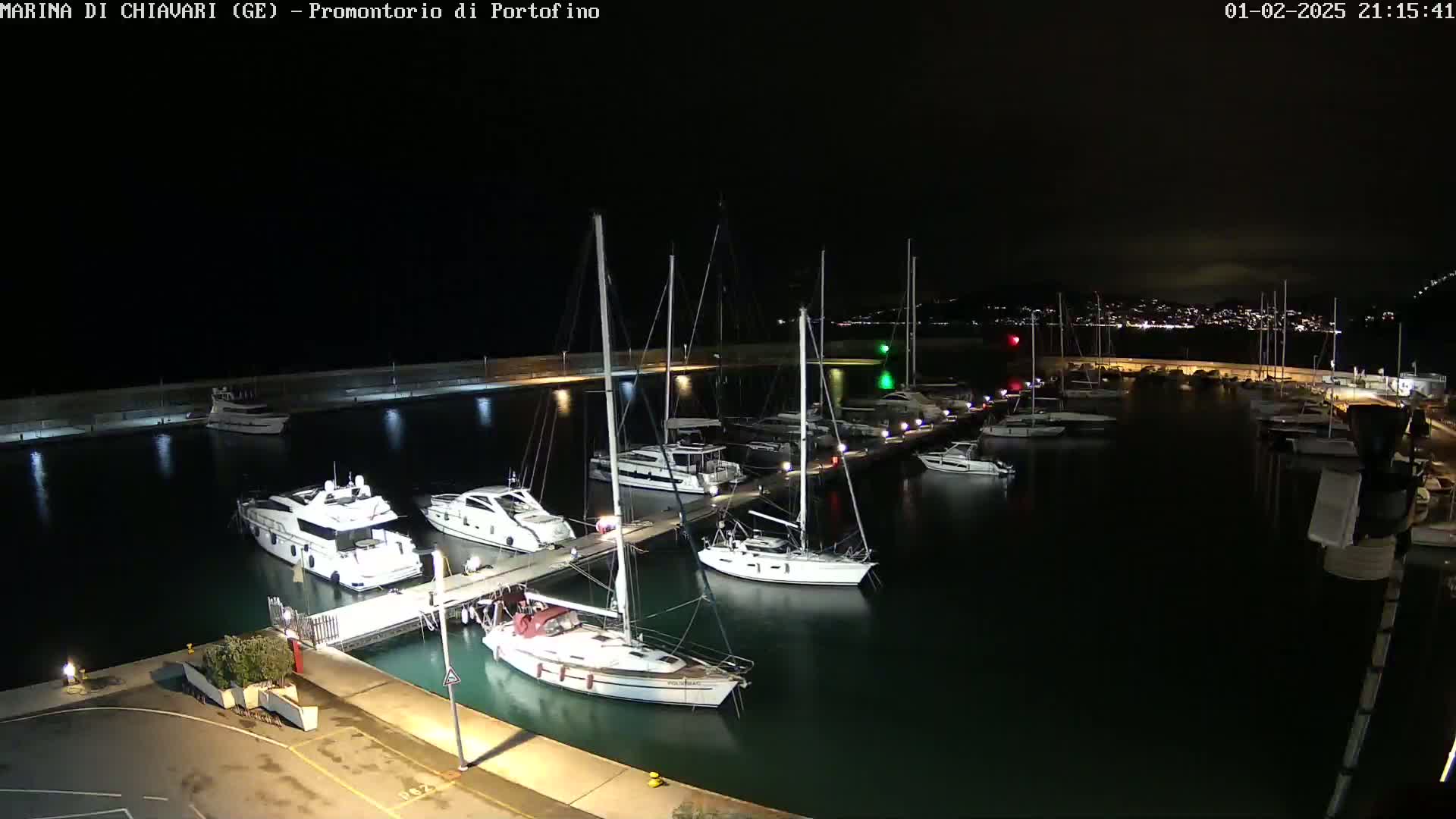 A marina at night, filled with sailboats and motorboats docked along a lit pier, under a dark, clear sky.