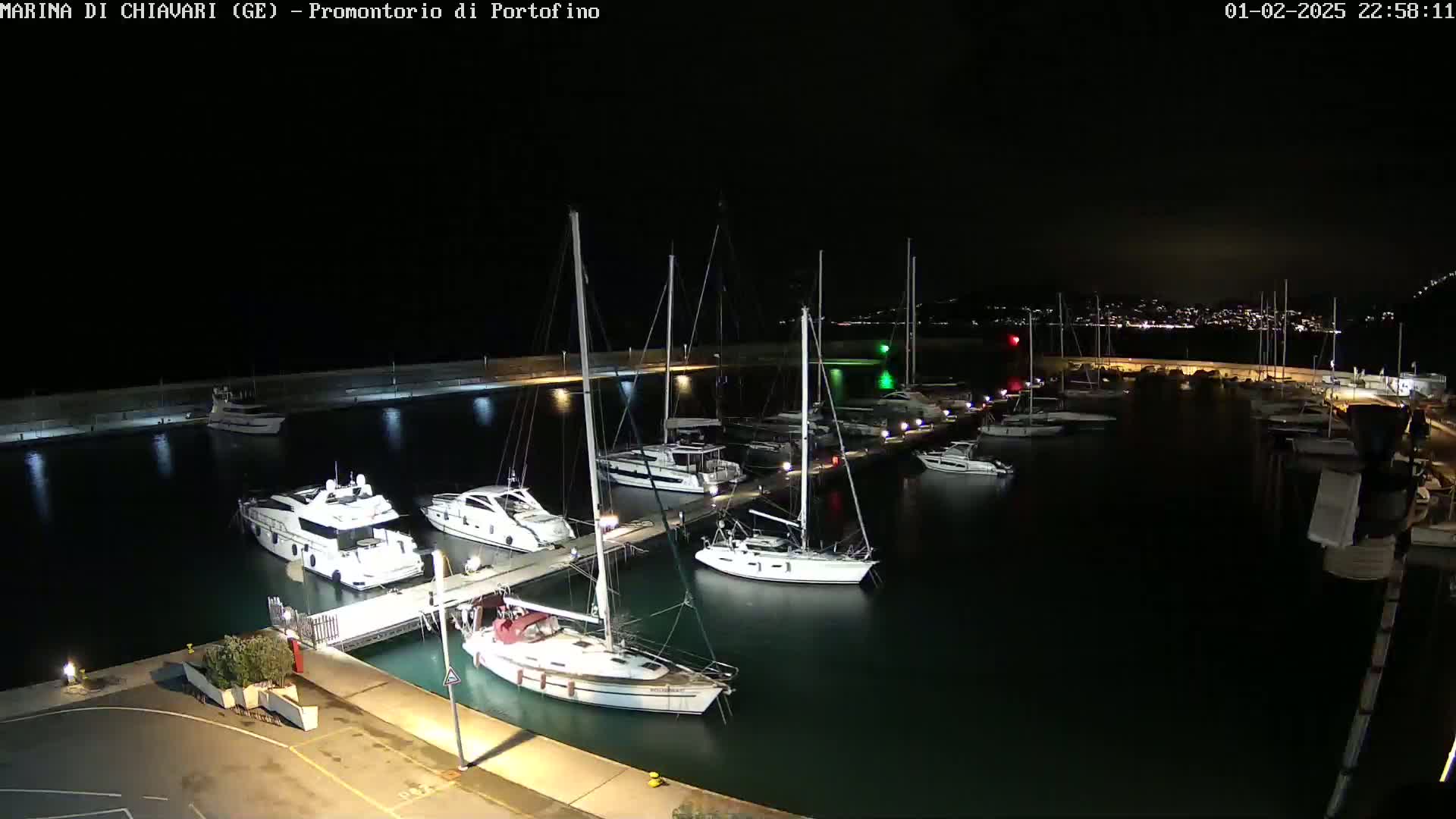 Several yachts and sailboats are docked at a marina at night under a clear, dark sky.