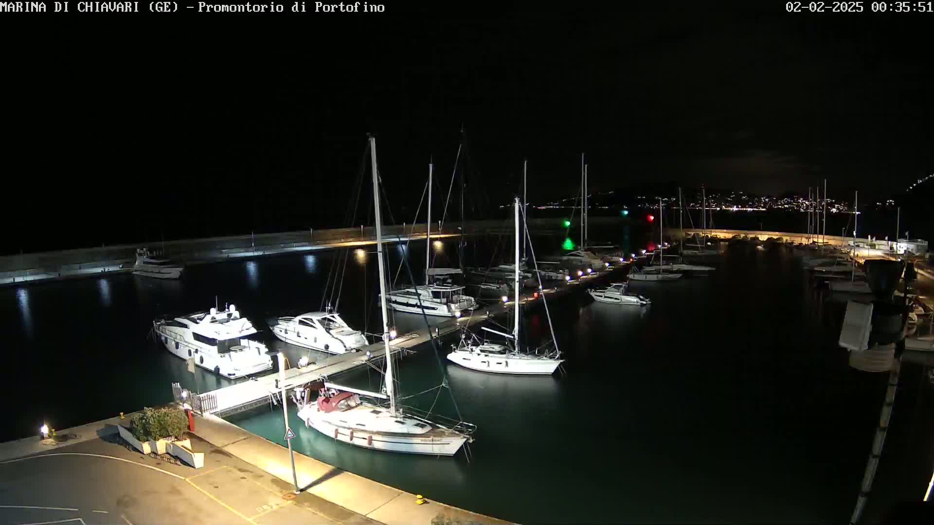 A marina filled with various yachts and sailboats is illuminated at night under a clear, dark sky.