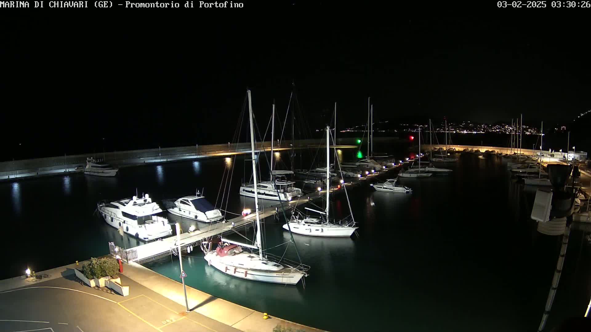 Numerous sailboats and motorboats are docked at a marina at night under a clear, dark sky.