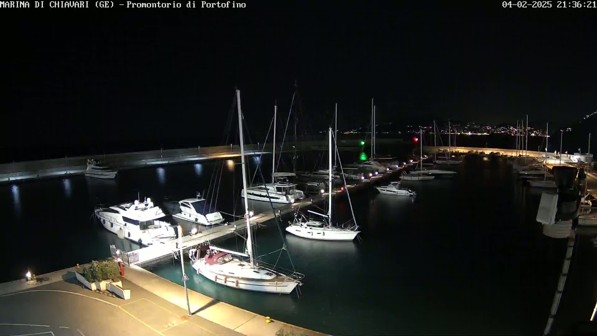 At night, numerous boats are docked at a marina, with a city's lights visible in the distance.
