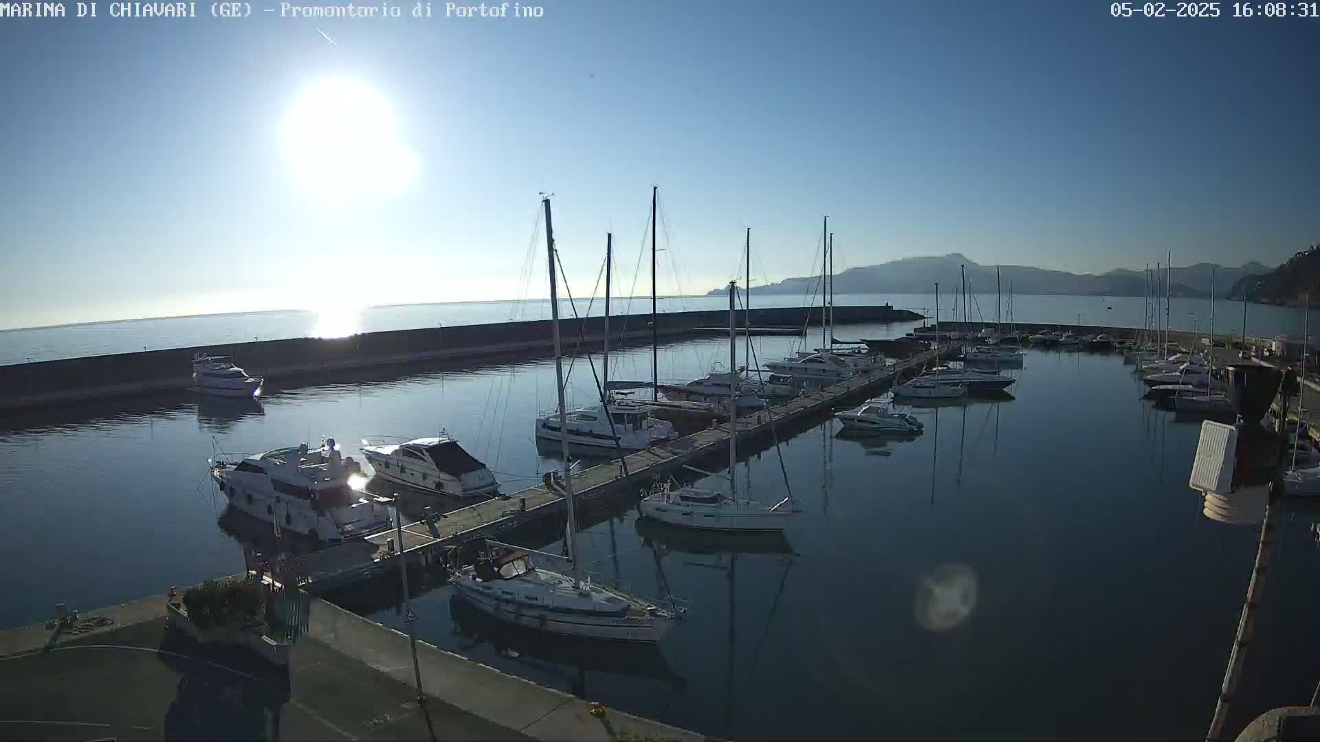 A marina filled with sailboats and motorboats on a sunny day with calm water and mountains in the distance.