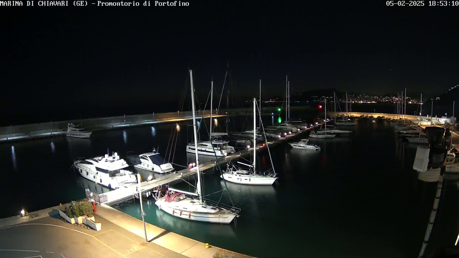 A marina at night, filled with numerous boats of various sizes, is illuminated under a clear, dark sky.