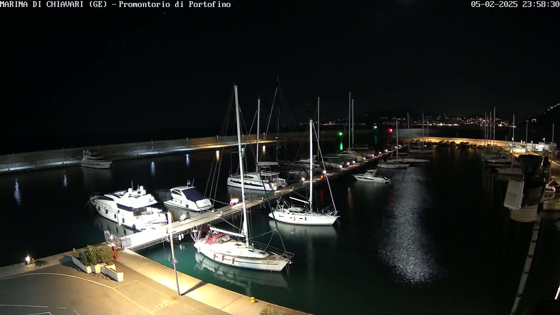 A marina filled with sailboats and motorboats is illuminated at night under a clear, dark sky.
