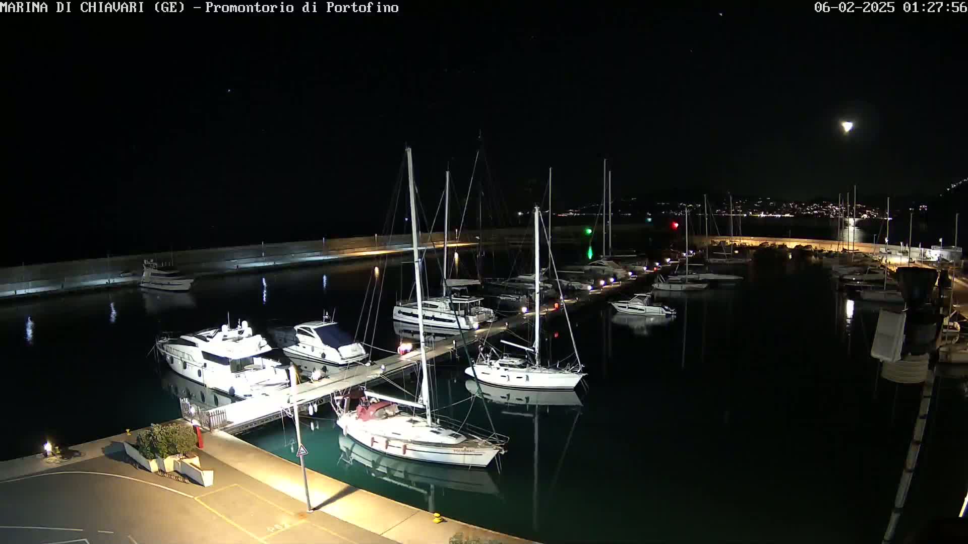At night, numerous sailboats and motorboats are docked in a marina under a mostly clear sky with a bright moon.
