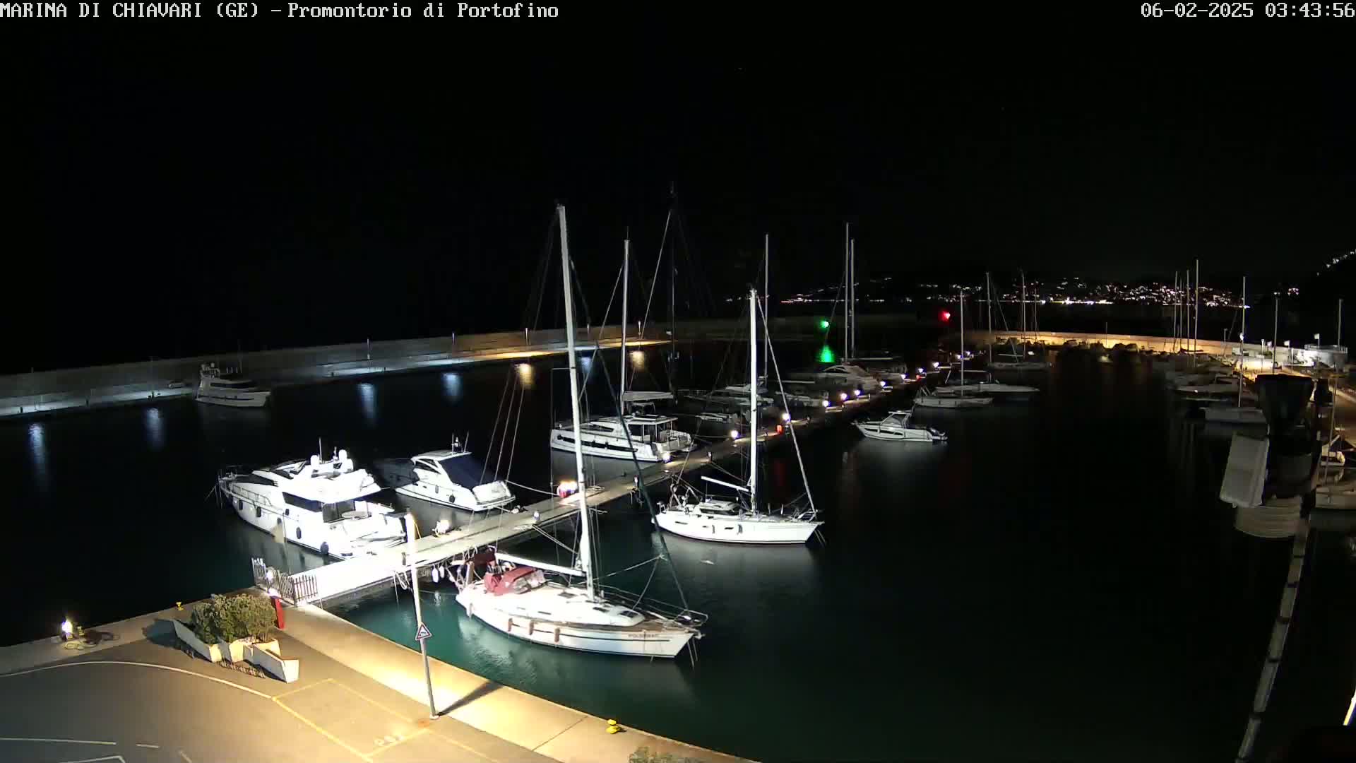 A nighttime view of a marina filled with docked sailboats and motorboats under a clear, dark sky.