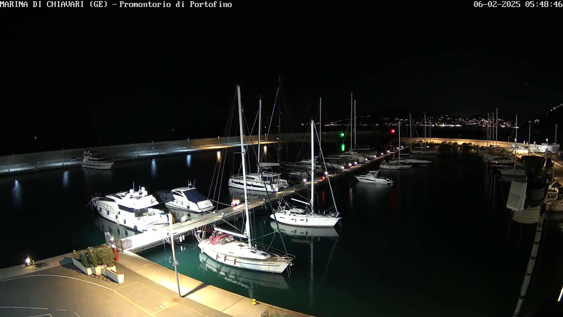Several sailboats and motorboats are docked at a marina at night under a clear, dark sky.