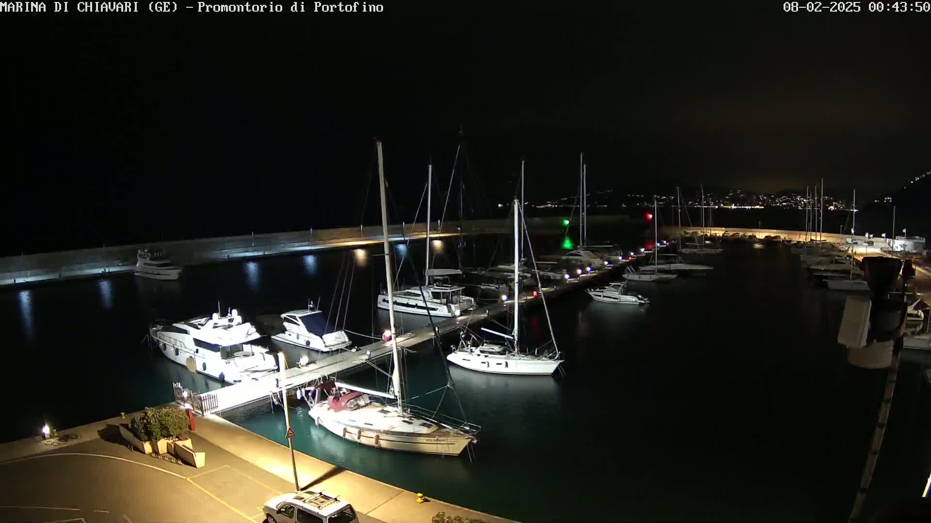 A marina filled with sailboats and motorboats is illuminated at night under a clear, dark sky.