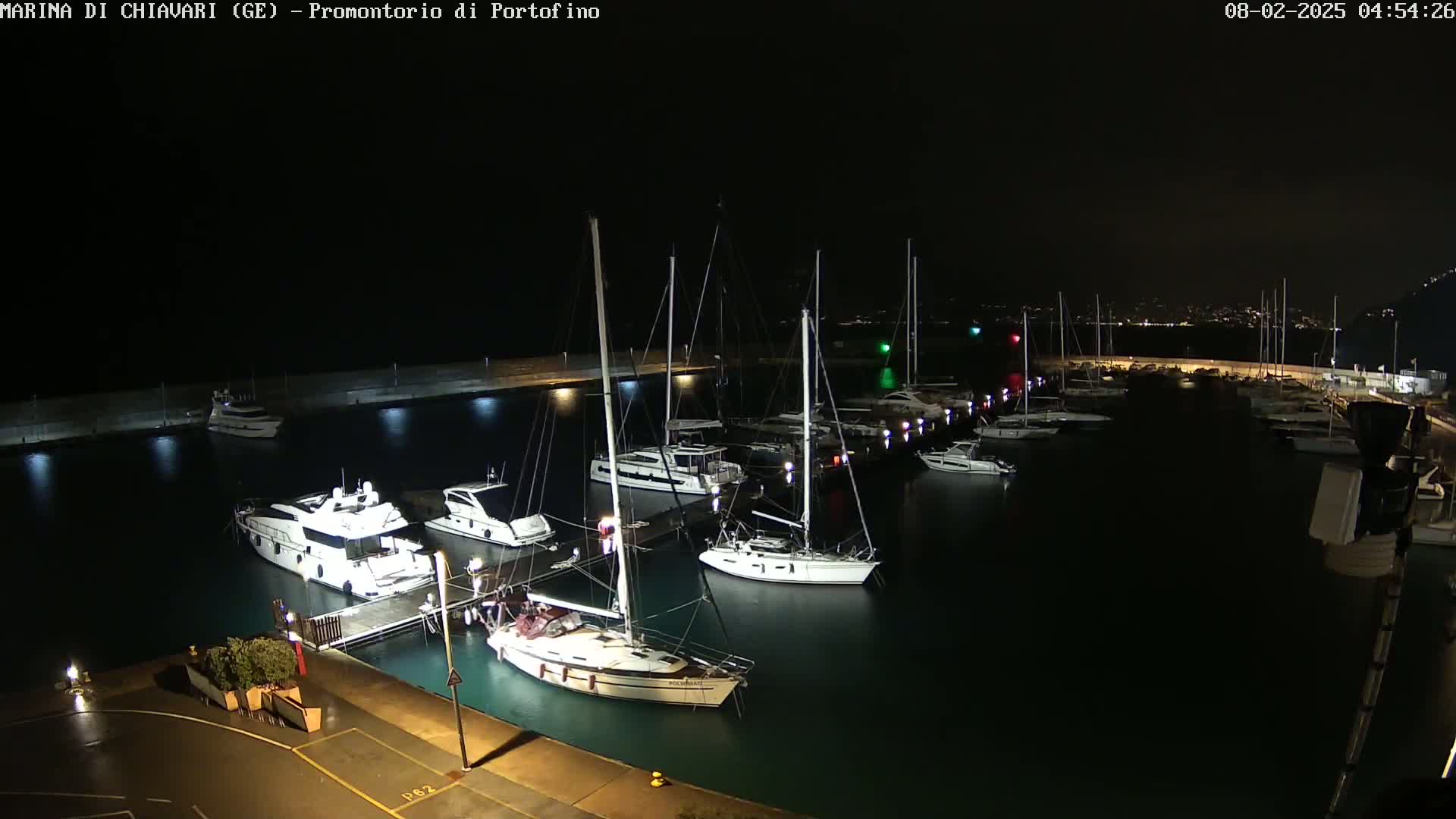 Many sailboats and motor yachts are docked in a marina at night under a dark, possibly rainy sky.