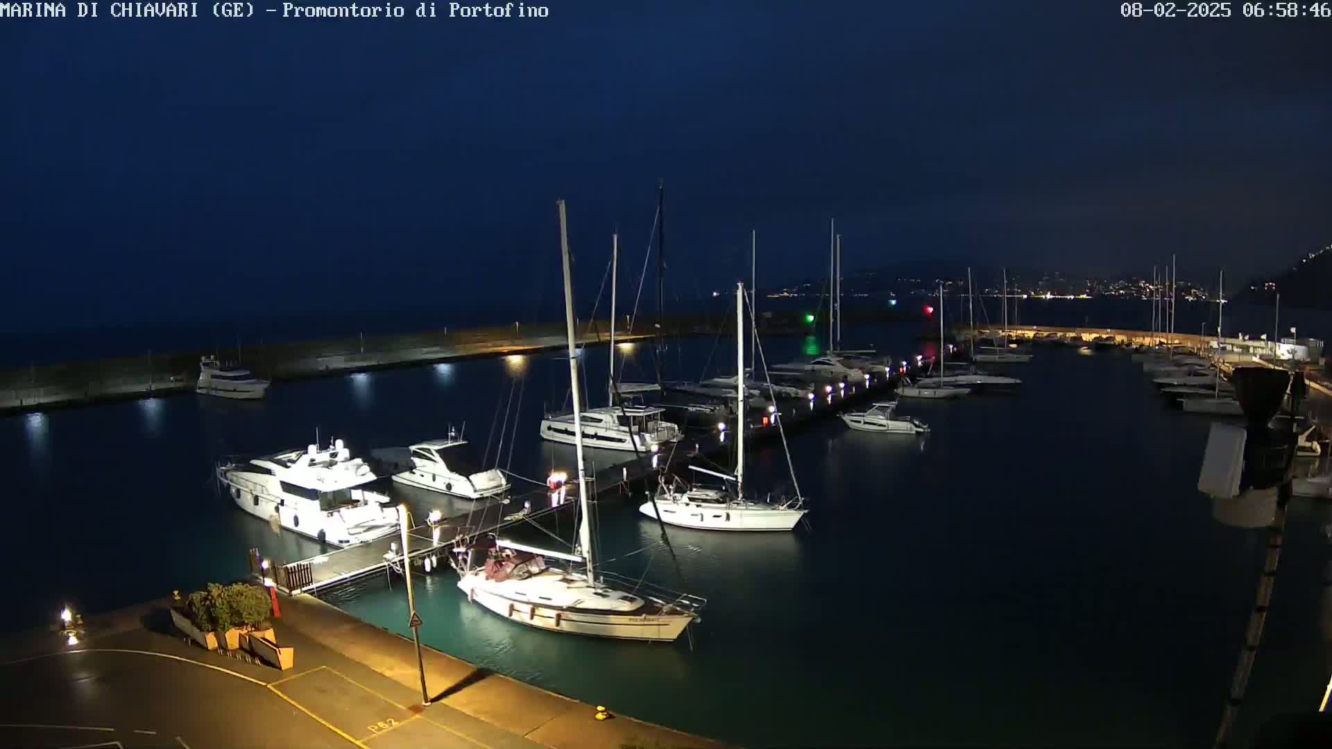 Numerous boats are moored in a marina at night under a dark sky.