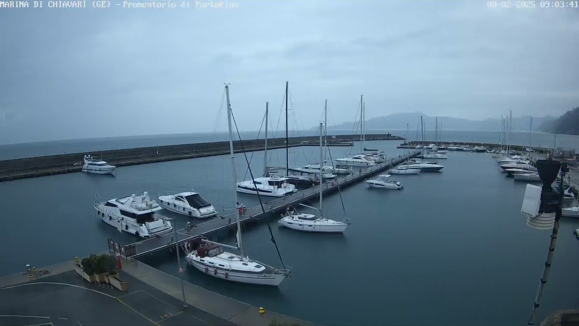 A marina filled with numerous sailboats and motor yachts under an overcast sky.
