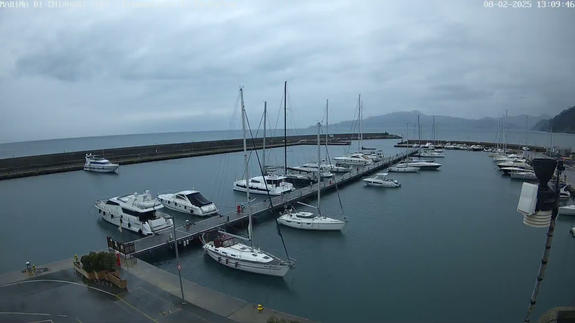 A marina filled with various sized boats and yachts under an overcast sky.