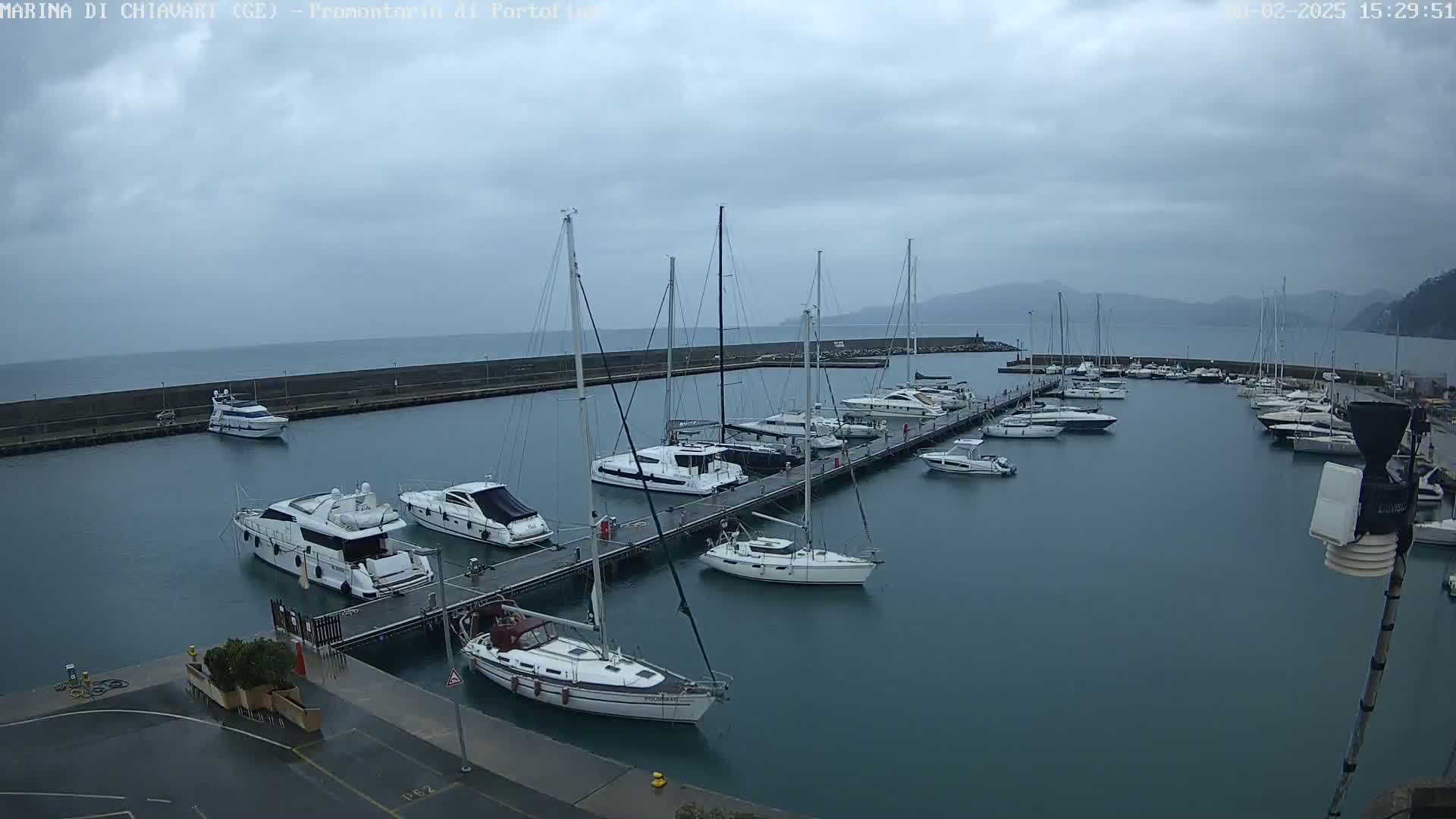 A marina filled with various sailboats and motorboats under a cloudy sky.