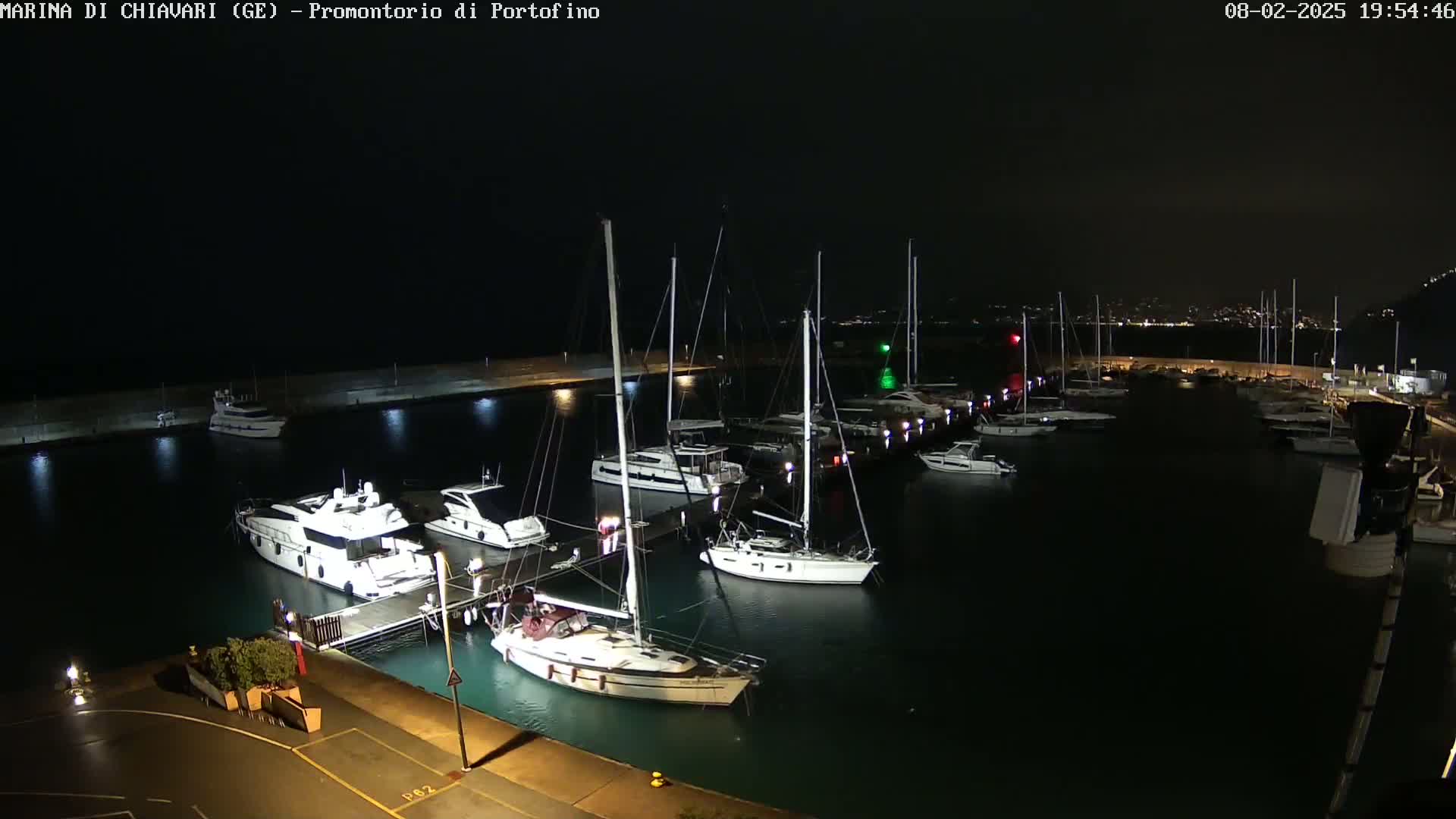 Numerous yachts and sailboats are moored in a marina at night under a clear, dark sky.