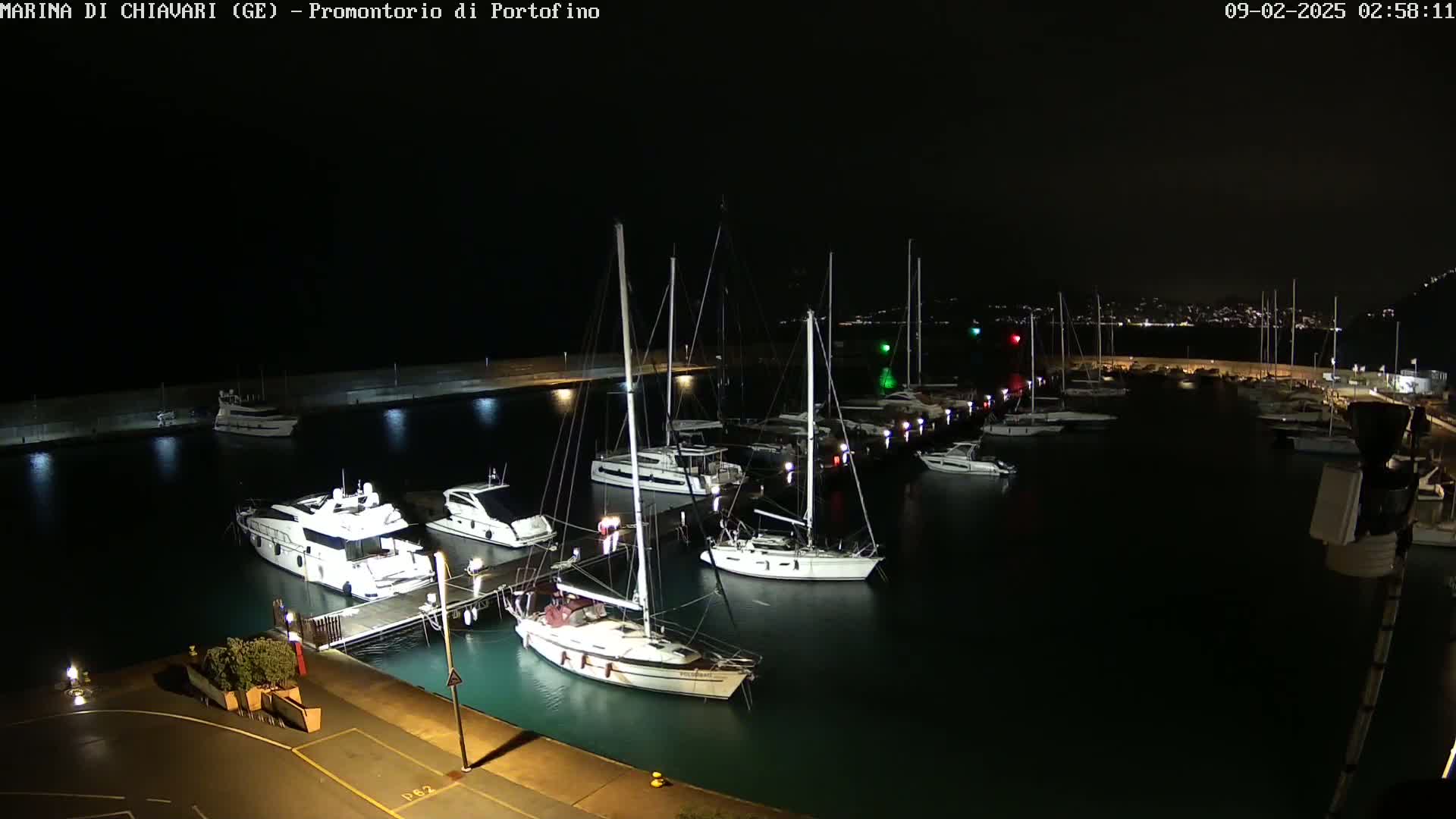 A marina at night, filled with sailboats and motorboats docked alongside a lit pier, under a clear, dark sky.