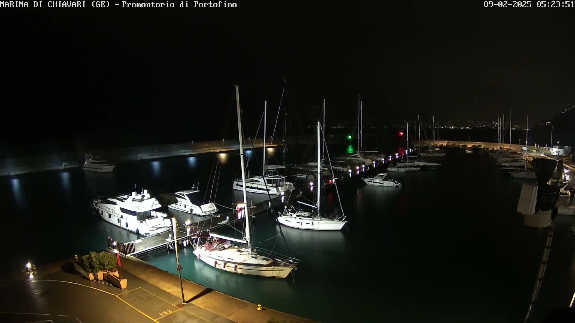 A marina at night, filled with sailboats and motorboats docked along piers, under a dark sky.