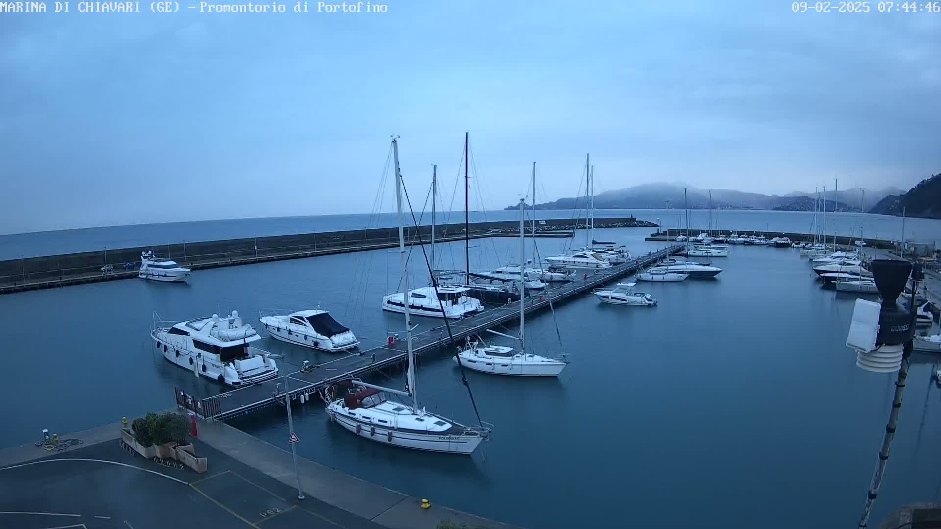A marina filled with numerous yachts and sailboats on a calm, overcast day, with distant hills visible in the background.