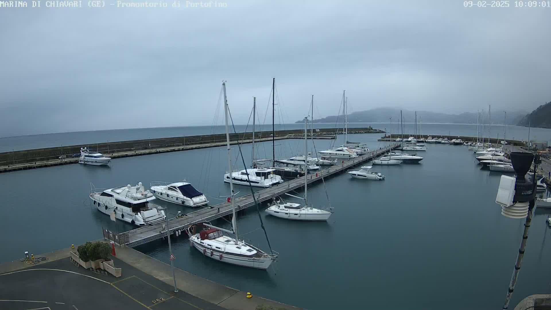 A marina filled with numerous yachts and sailboats under an overcast sky.