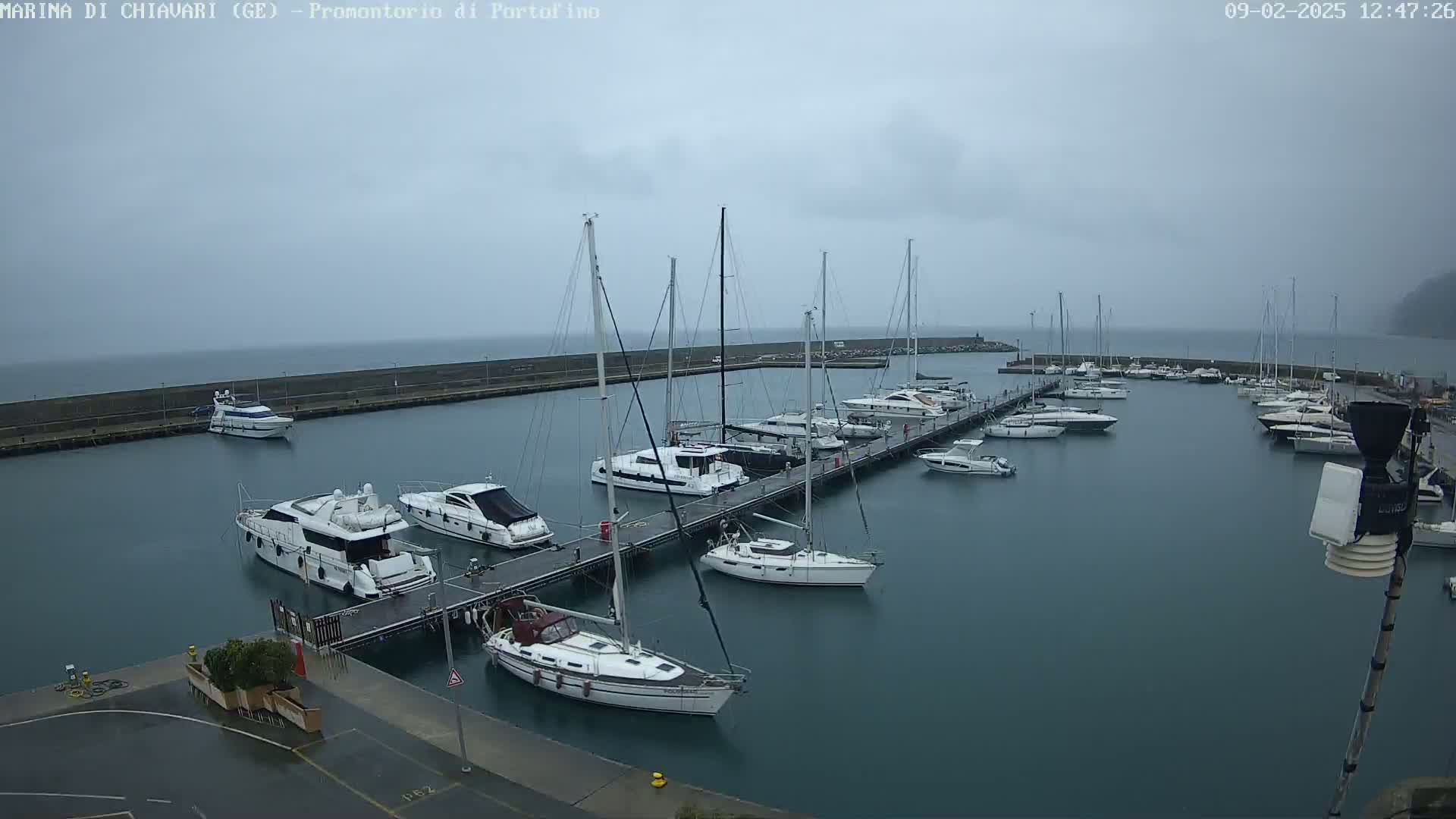 Many yachts and sailboats are moored at a marina on a cloudy day.