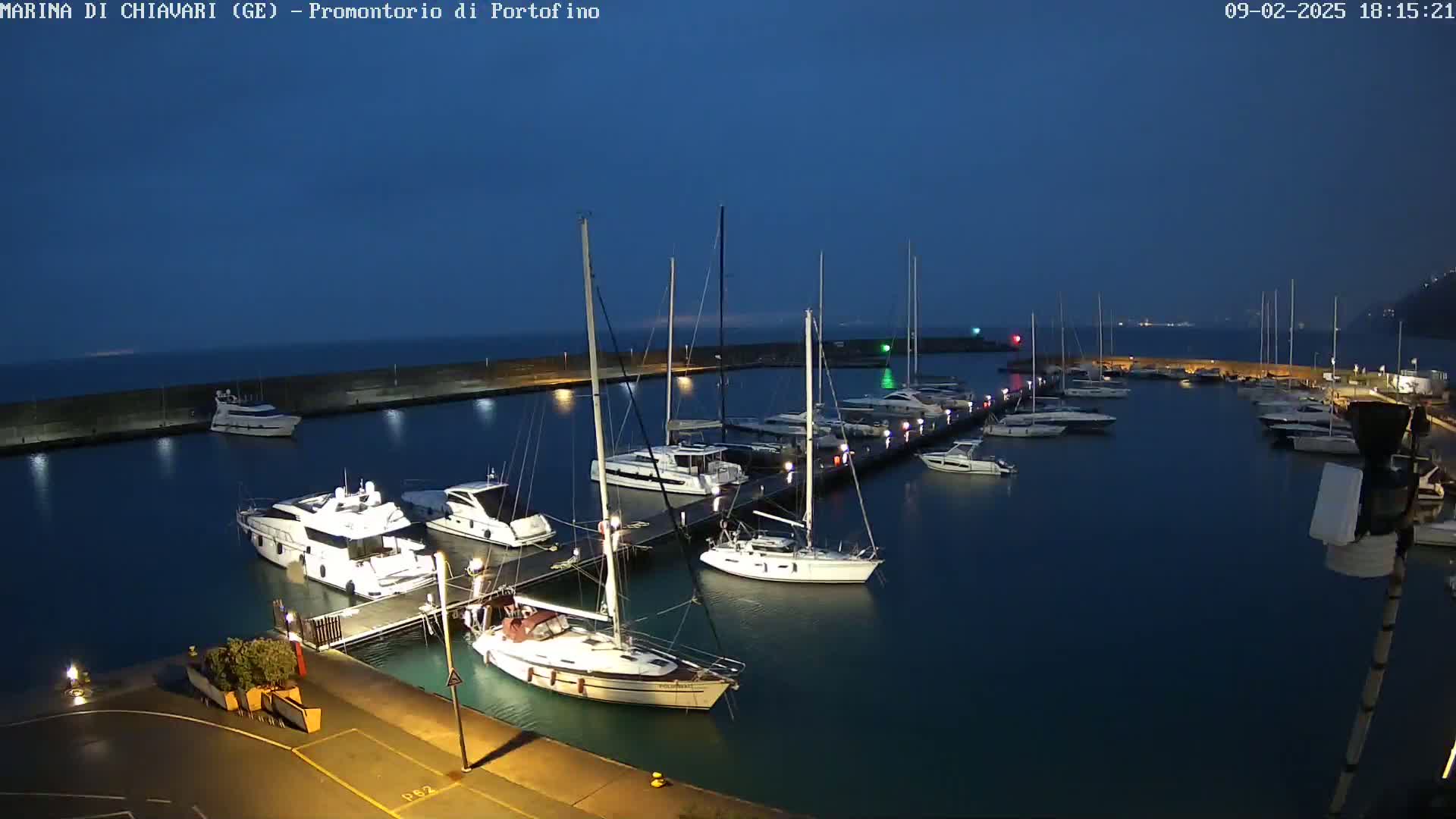 A marina filled with yachts and sailboats is shown at night under a dark blue, clear sky.