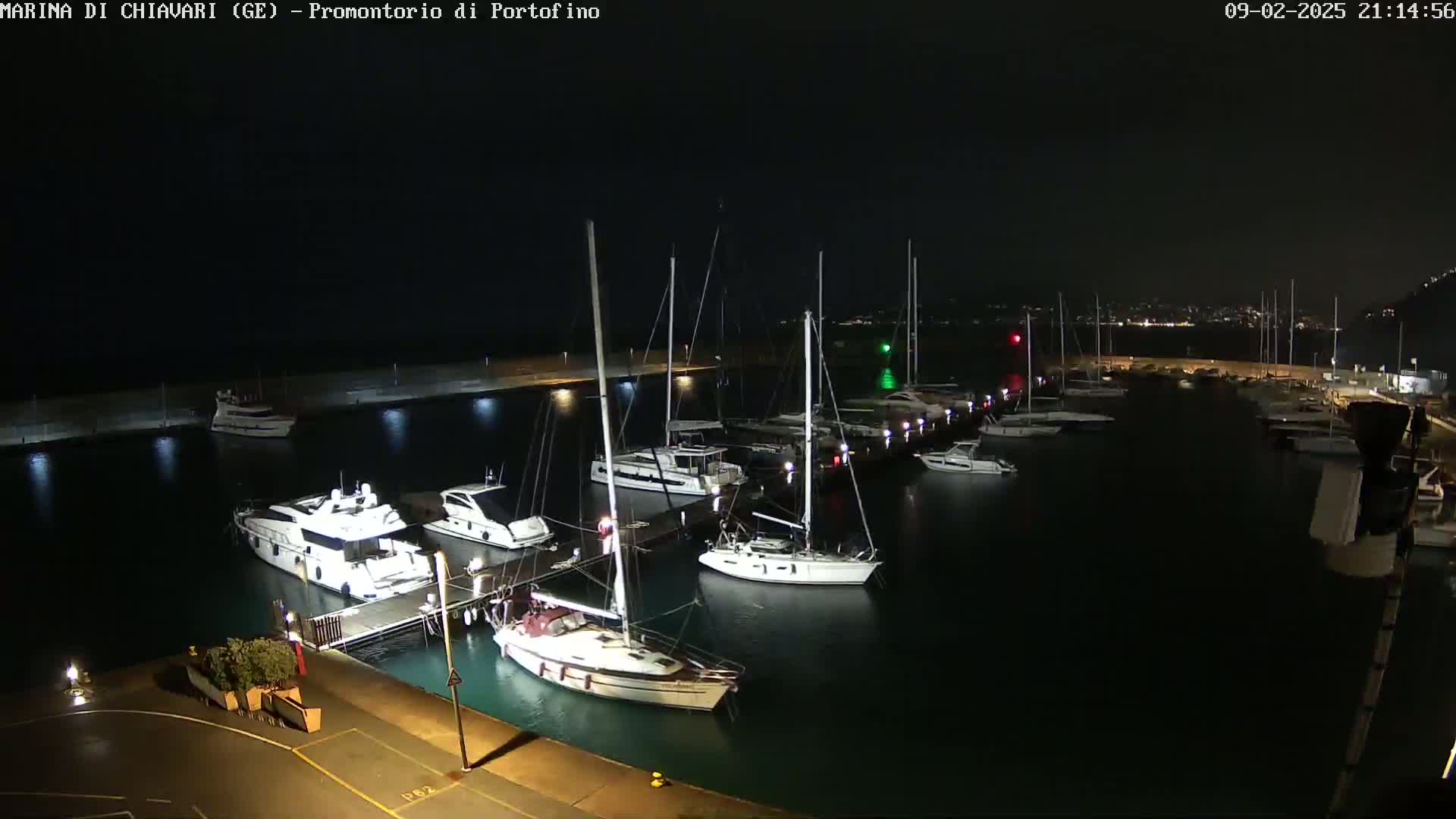 At night, a marina filled with sailboats and yachts is illuminated, with calm dark water surrounding the docked vessels.