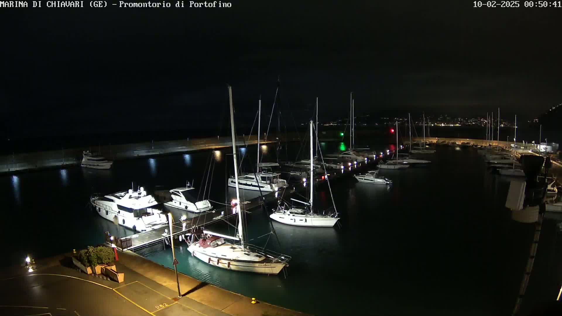 A marina at night is filled with numerous sailboats and motorboats docked along a pier, illuminated by artificial lights under a dark sky.