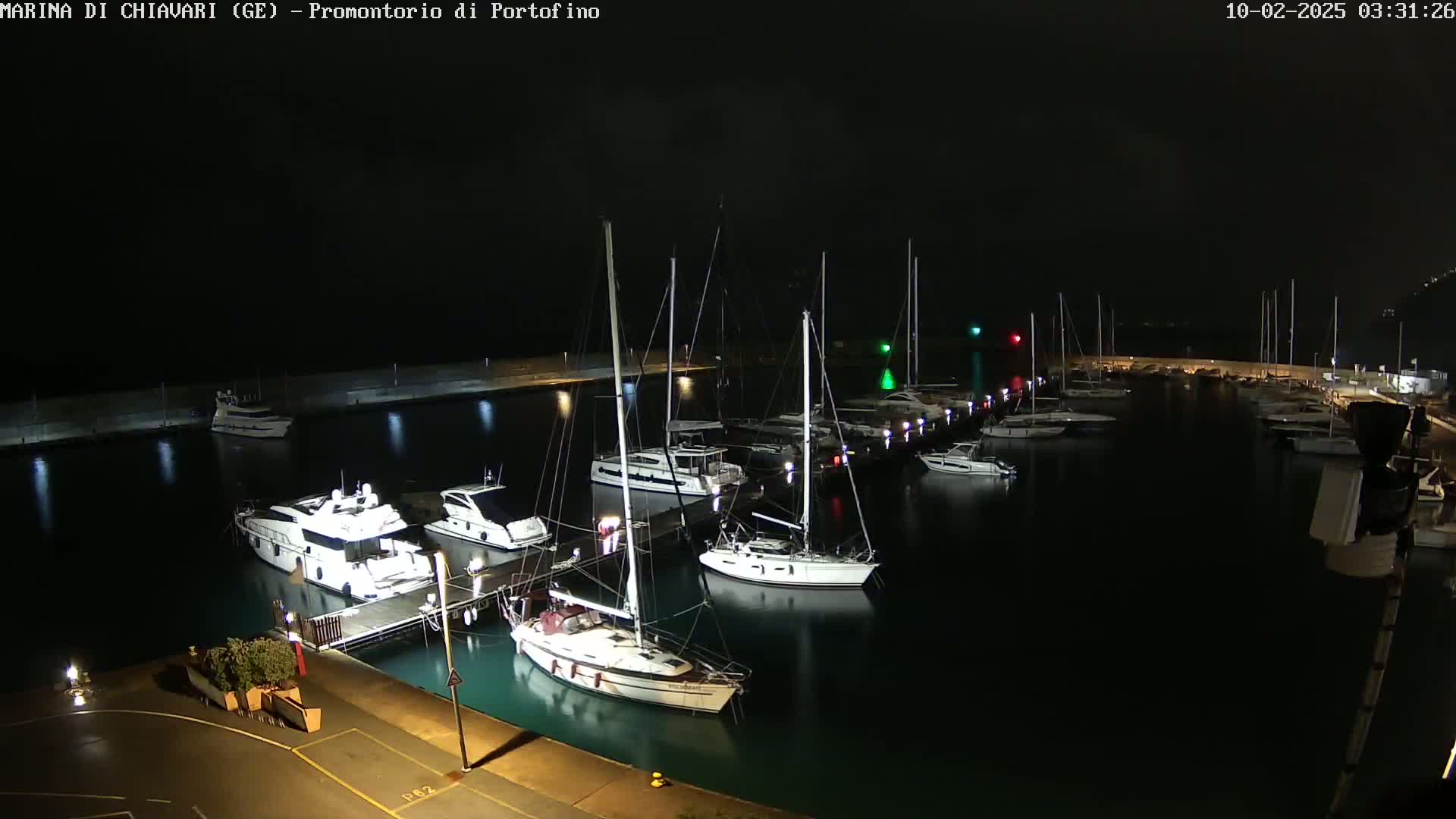 Numerous boats are docked in a marina at night under a dark sky.