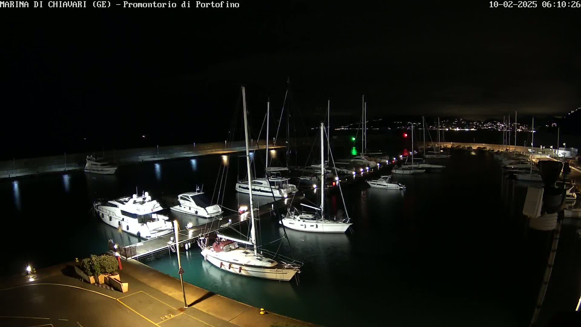 A marina at night, filled with numerous sailboats and motorboats docked along piers under a dark sky.