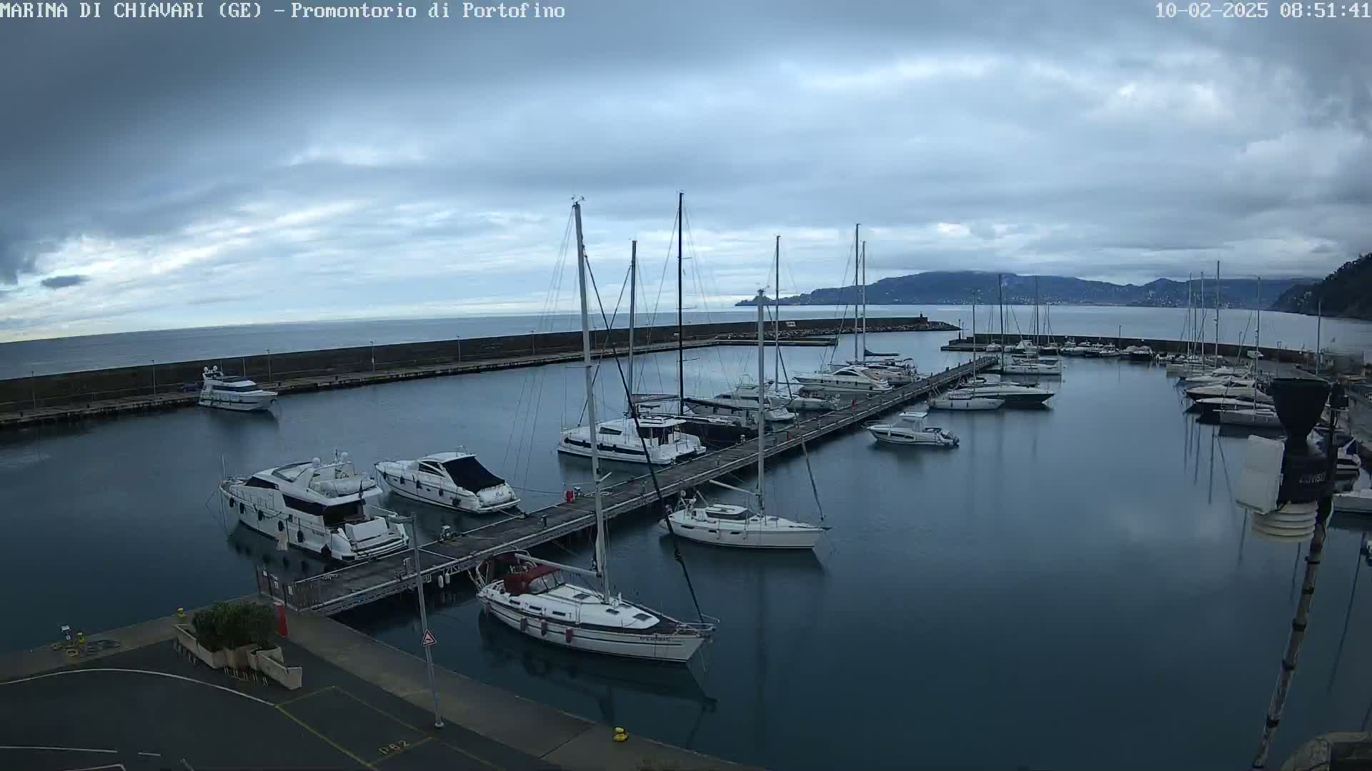 A marina filled with yachts and sailboats on a calm, overcast day.