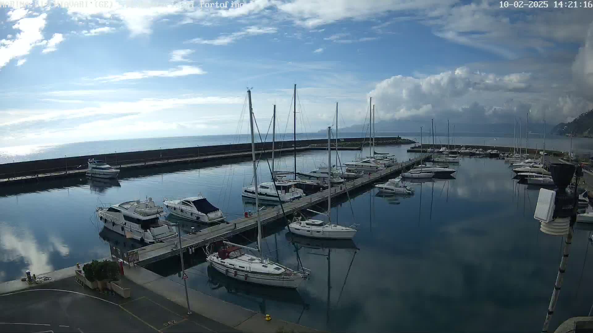 A marina filled with sailboats and motorboats is calm under a partly cloudy sky.