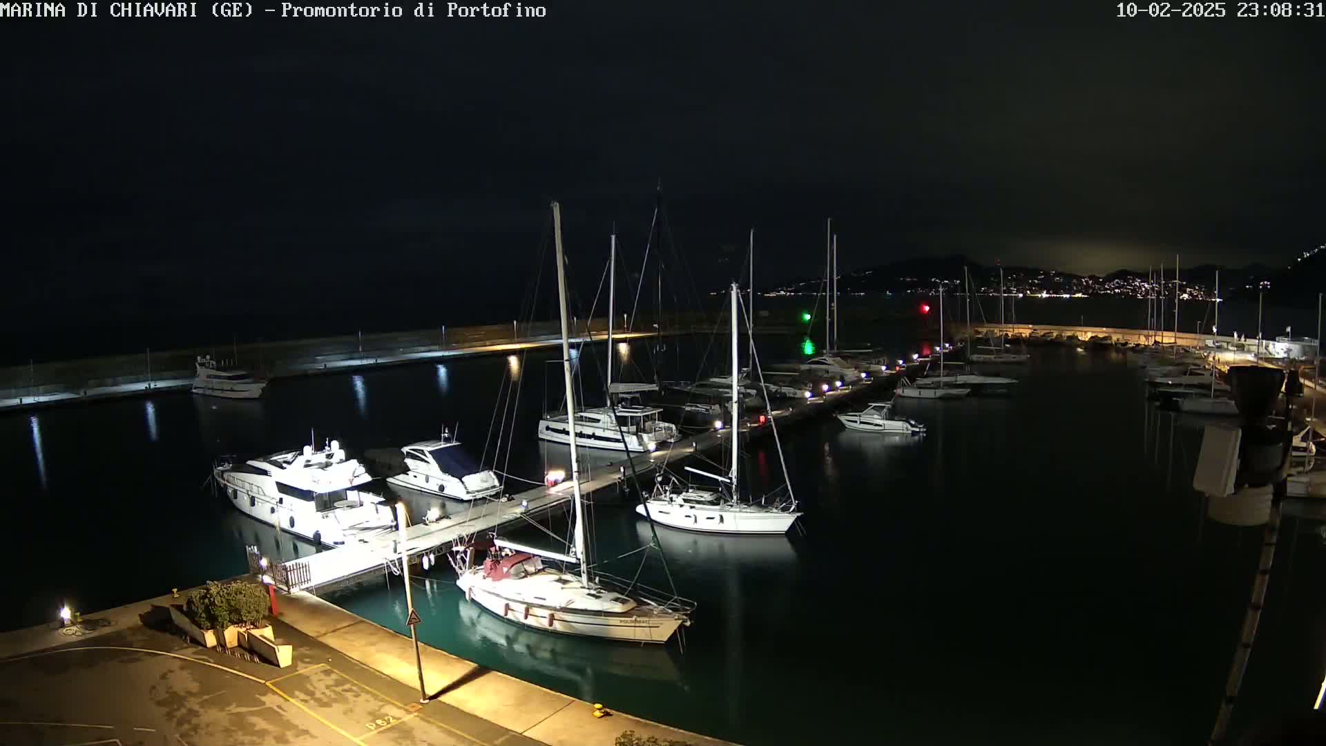 A marina at night, filled with numerous boats docked along a pier, under a dark sky.