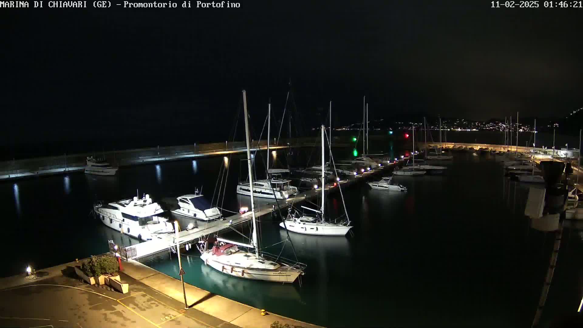 At night, a marina filled with docked sailboats and motorboats is illuminated by lights along a pier and on the boats themselves.
