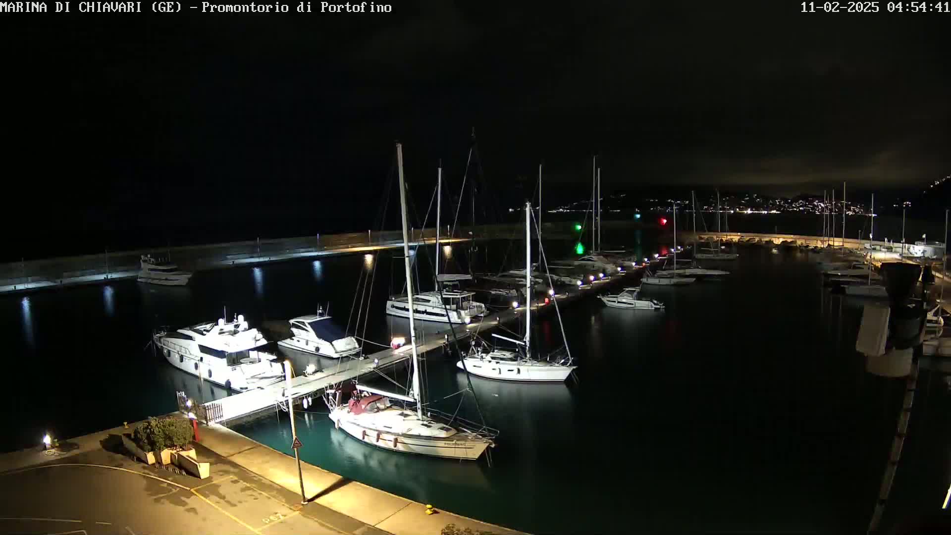 A nighttime view of a marina filled with docked sailboats and yachts under a dark, clear sky.