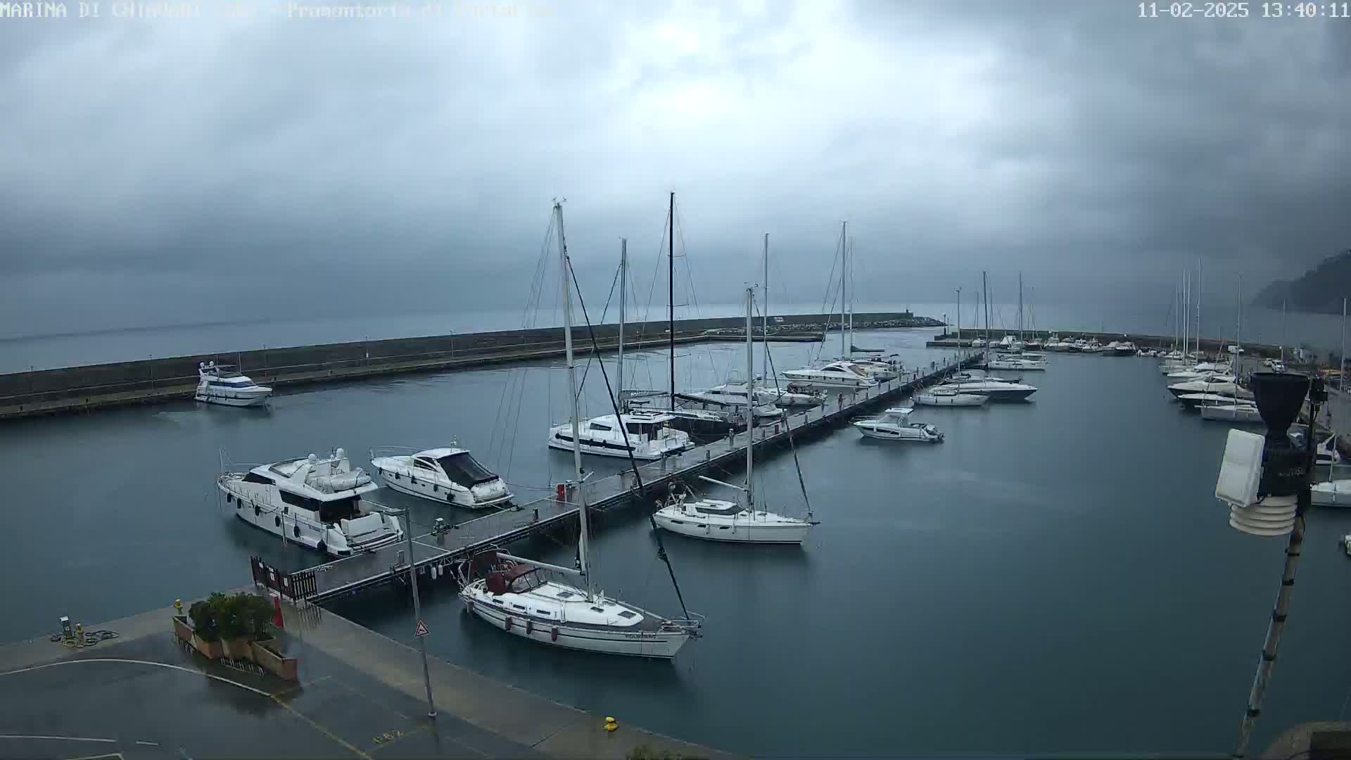 A marina filled with numerous yachts and sailboats under an overcast sky.