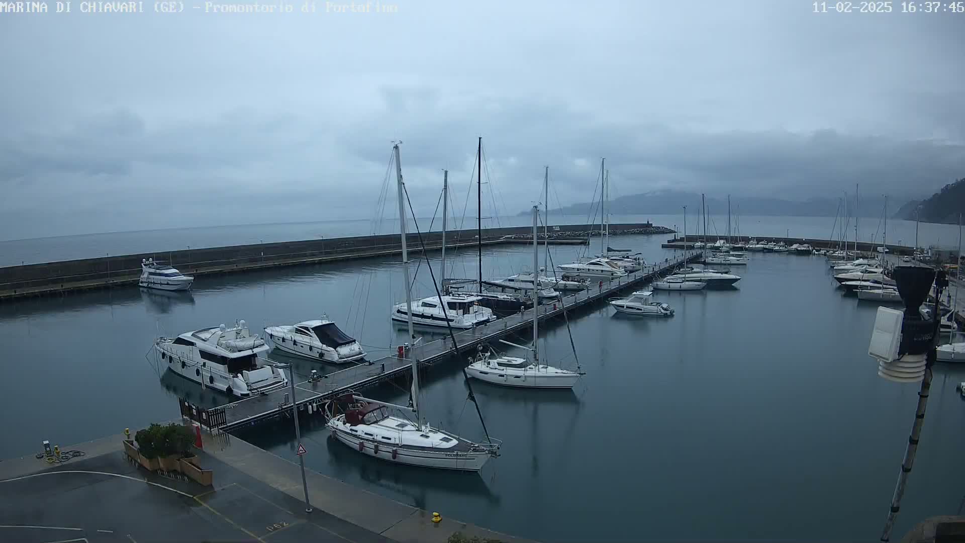 A marina filled with numerous sailboats and motorboats under an overcast sky.