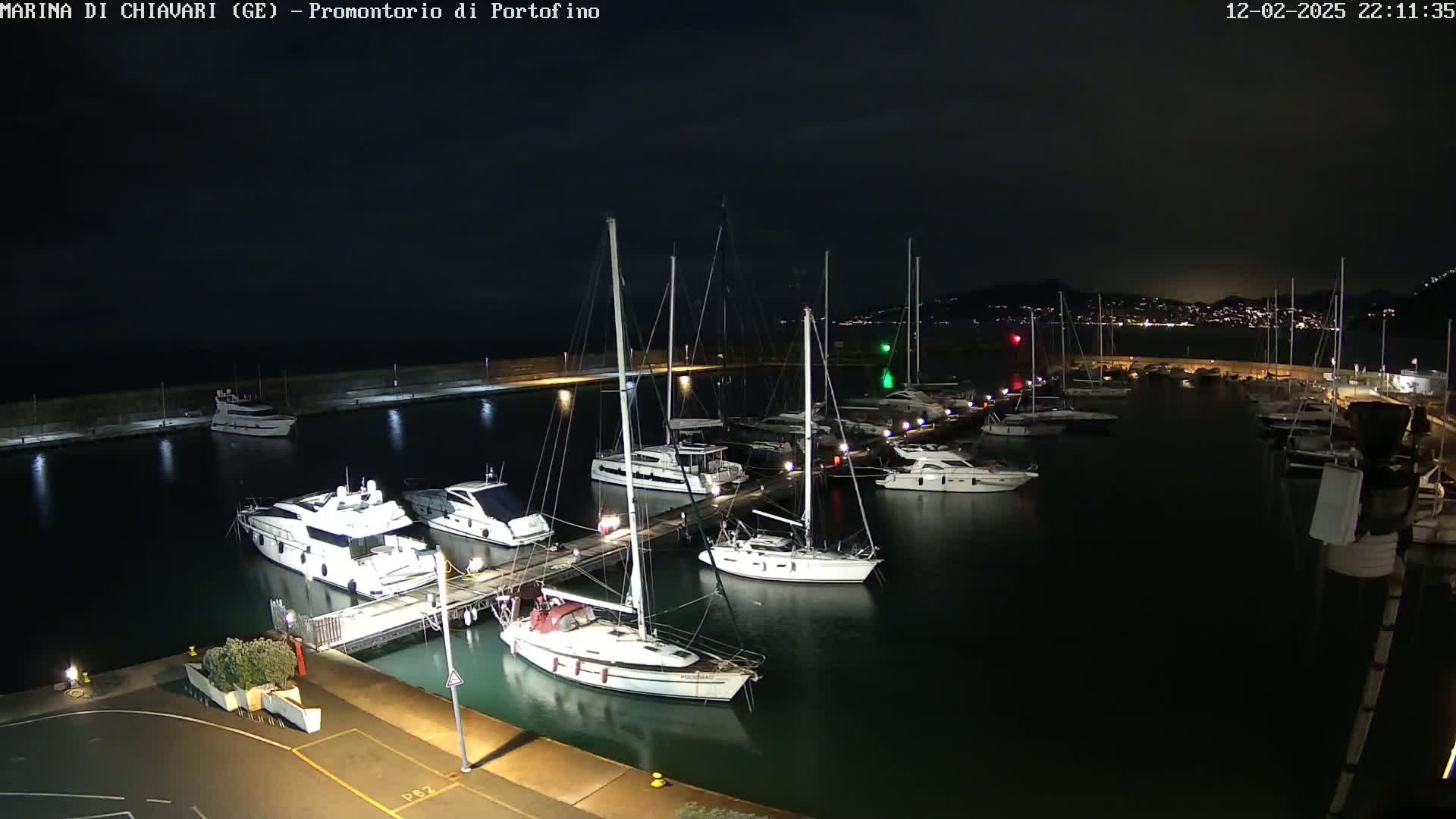 A marina at night filled with numerous boats docked along a pier, under a dark, clear sky.