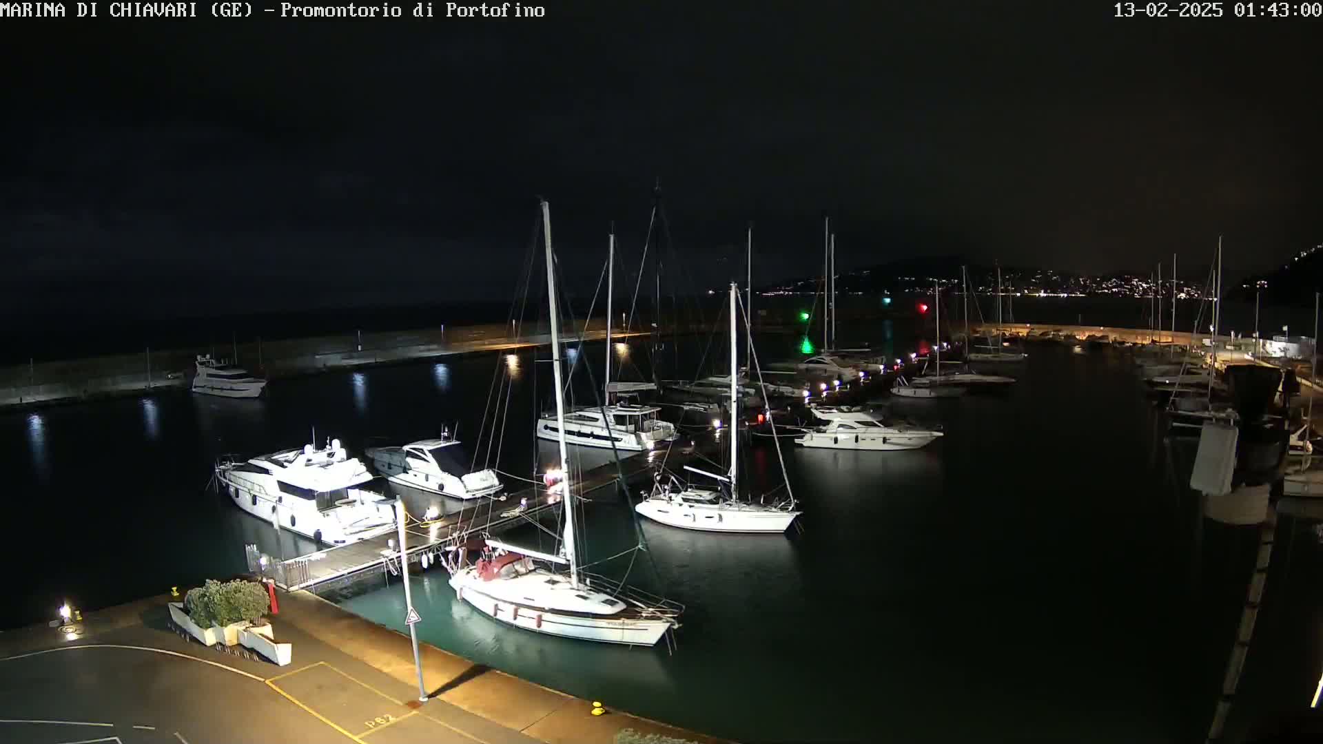 A marina at night, filled with yachts and sailboats moored along docks under a dark sky.