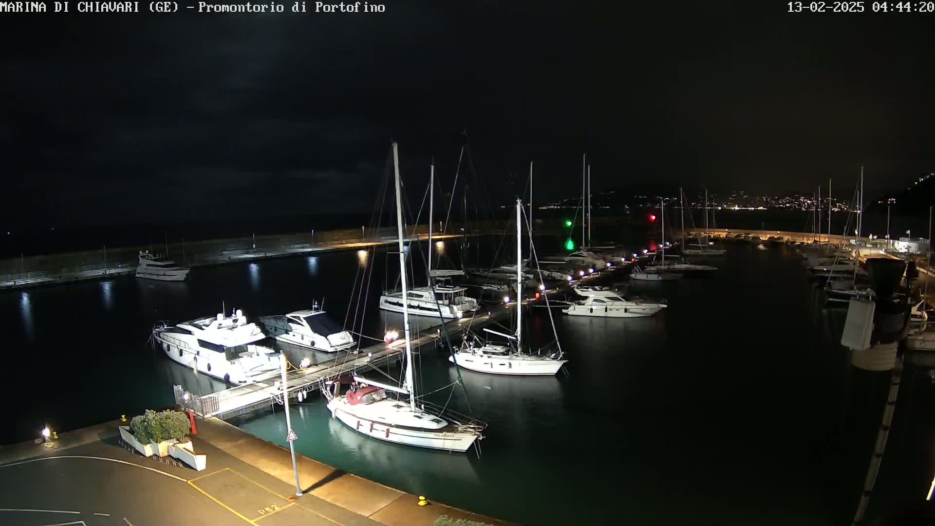 A nighttime view of a marina filled with docked sailboats and motor yachts under a dark, mostly clear sky.