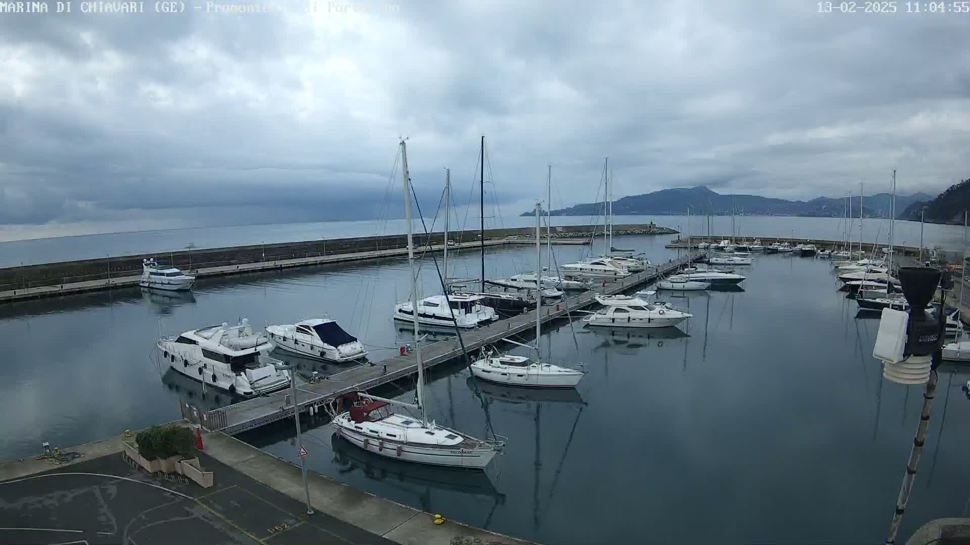 A marina filled with numerous boats and yachts under a cloudy sky is shown.