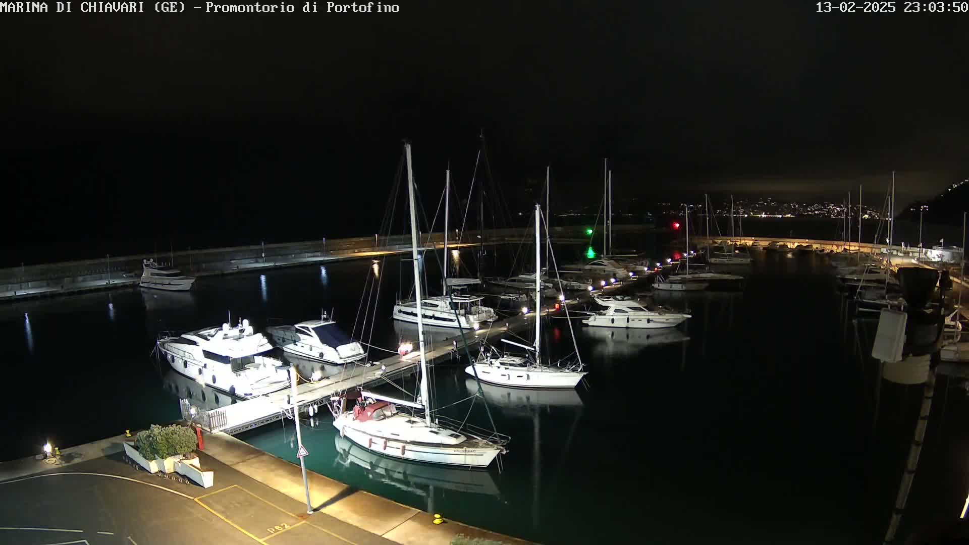 A marina filled with yachts and sailboats is illuminated at night under a dark sky.