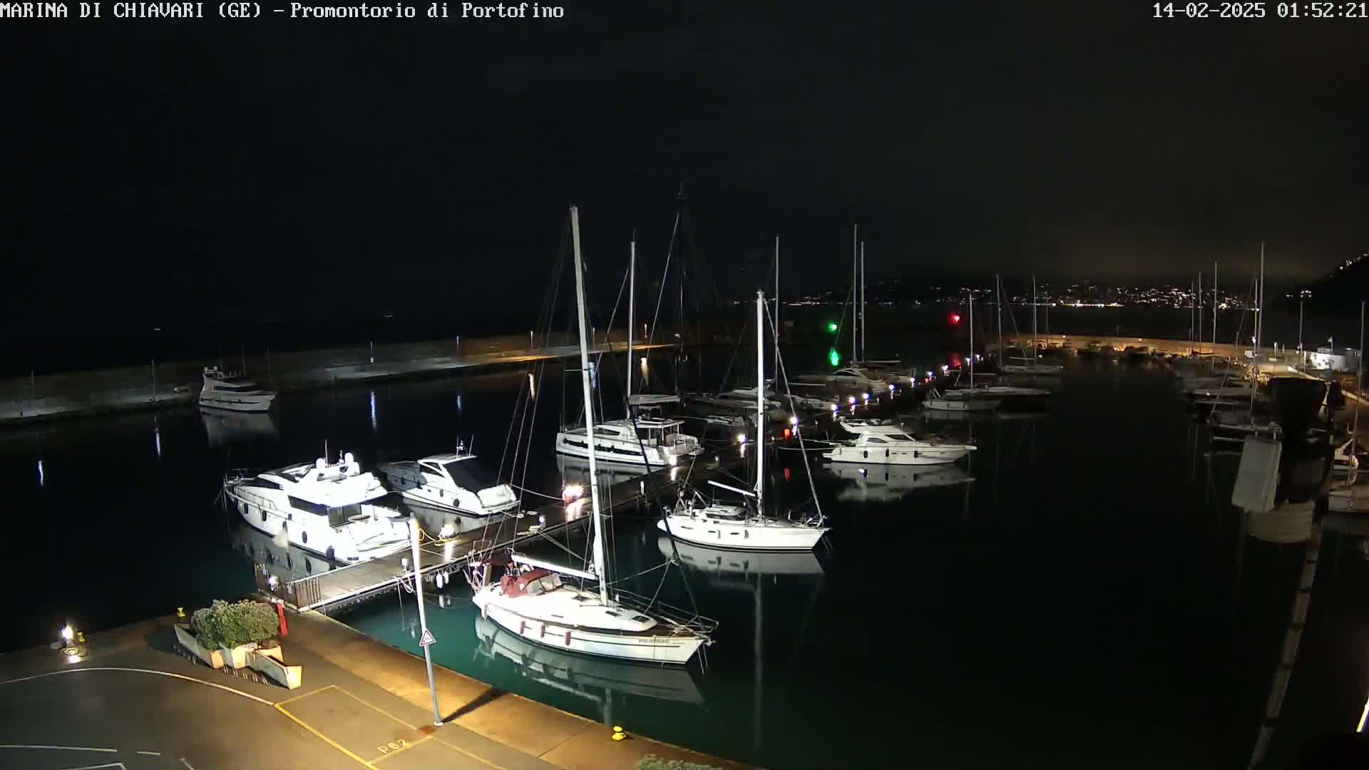 A marina at night, filled with yachts and sailboats, under a dark, clear sky.